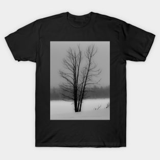 Tree in a winter storm T-Shirt